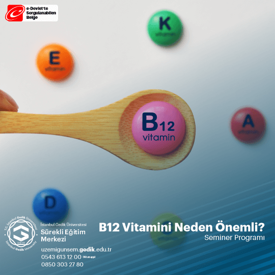 B12 Vitamini Neden Önemli
