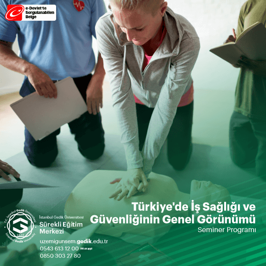 Türkiye'de İş Sağlığı ve Güvenliğinin Genel Görünümü