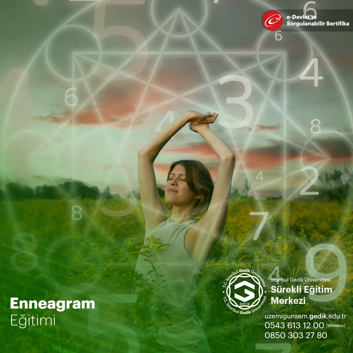 Enneagram Eğitimi Sertifika Programı