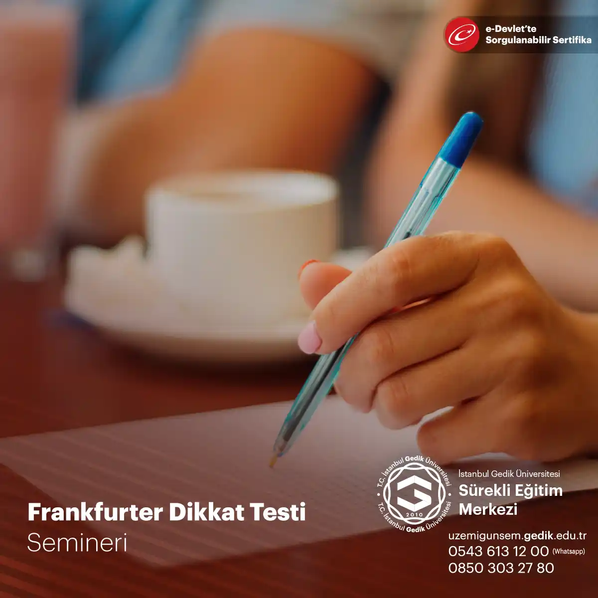 Frankfurter Dikkat Testi Semineri