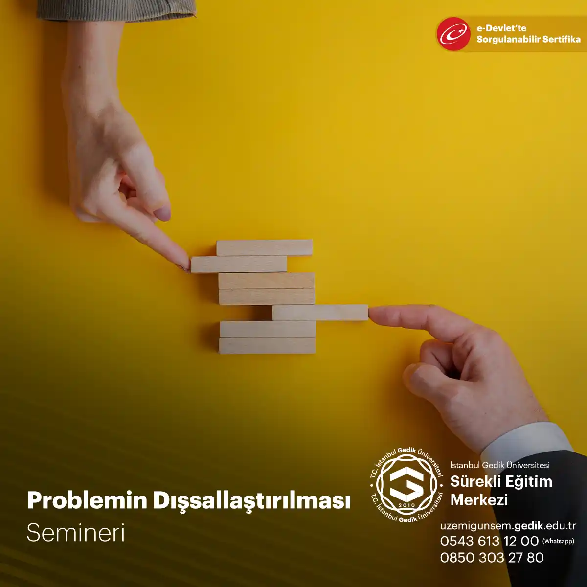 Problemin Dışsallaştırılması Semineri