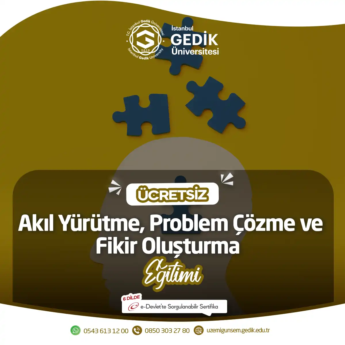 ÜCRETSİZ - Akıl Yürütme, Problem Çözme ve Fikir Oluşturma Eğitimi