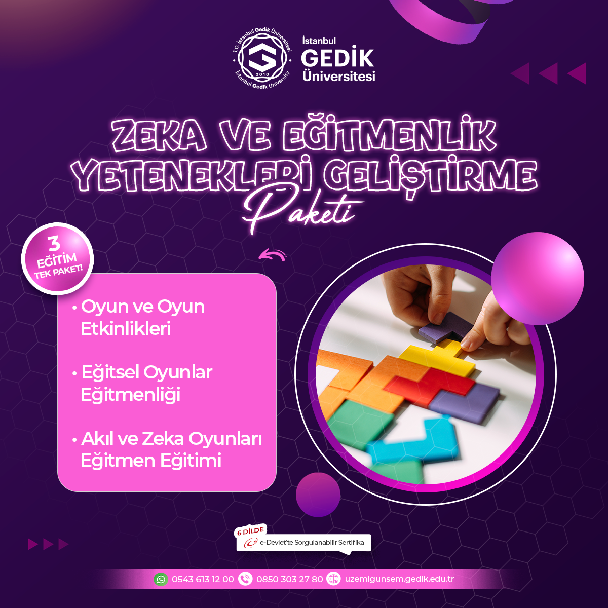 Zeka ve Eğitmenlik Yetenekleri Geliştirme Paketi