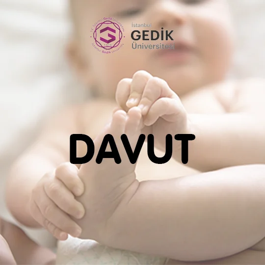 Davut İsminin Anlamı Nedir? - Detaylı İsim Analizi