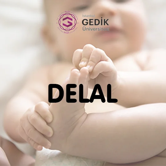 Delal İsminin Anlamı Nedir? - Detaylı İsim Analizi