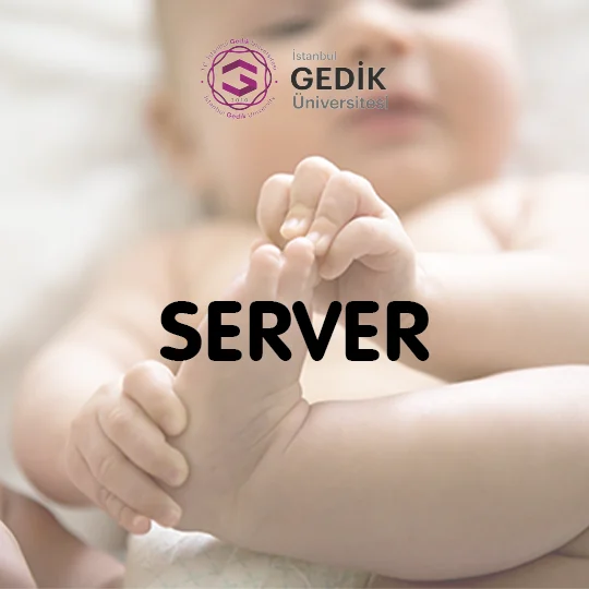 Server İsminin Anlamı Nedir? - Detaylı İsim Analizi