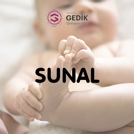 Sunal İsminin Anlamı Nedir? - Detaylı İsim Analizi