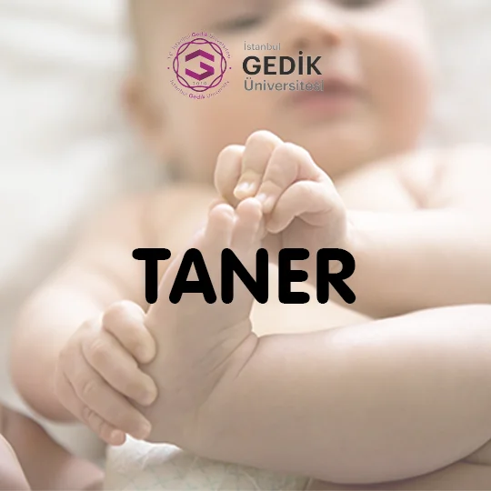 Taner İsminin Anlamı Nedir? - Detaylı İsim Analizi