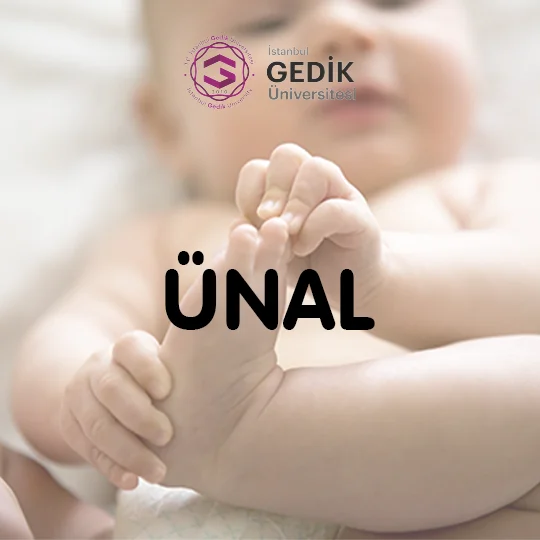 Ünal İsminin Anlamı Nedir? - Detaylı İsim Analizi