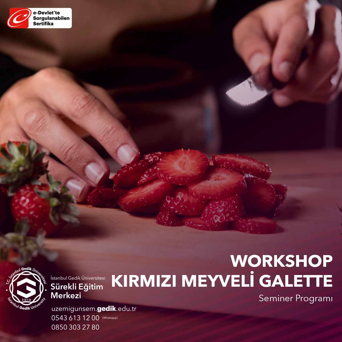 Bu seminer, katılımcılara hamur hazırlama, meyveleri düzenleme, galette'nin nasıl oluşturulacağı ve pişirme süreci hakkında yönergeler sunar.