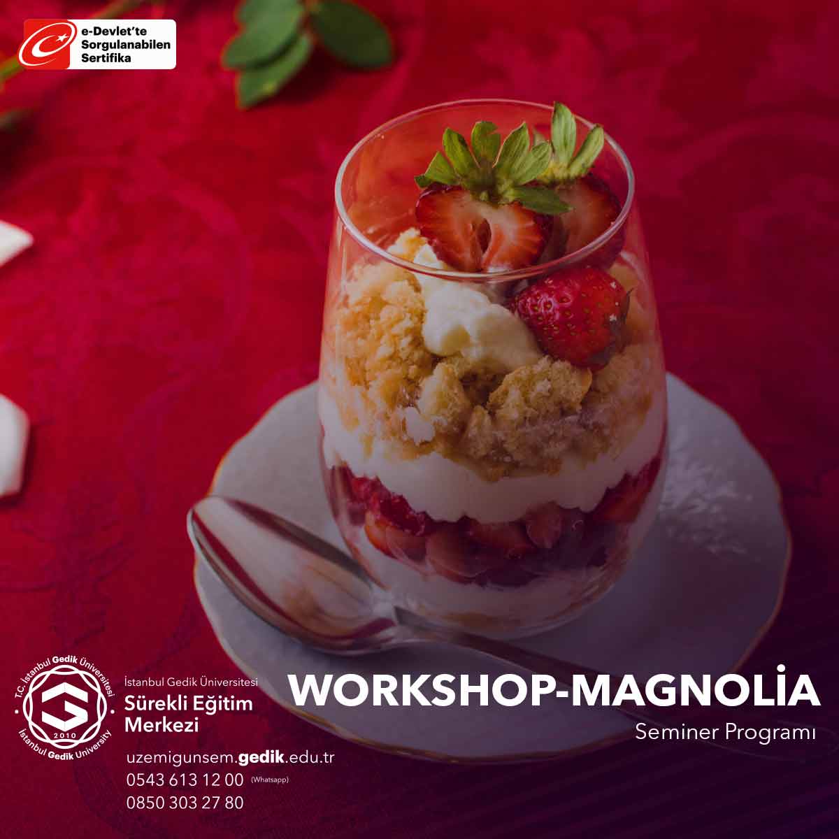 Bu seminer, katılımcılara magnolia tatlısı yapımının her aşamasını öğretir, hamurun hazırlanması, şekil verme, pişirme ve sunum gibi adımları içerir.