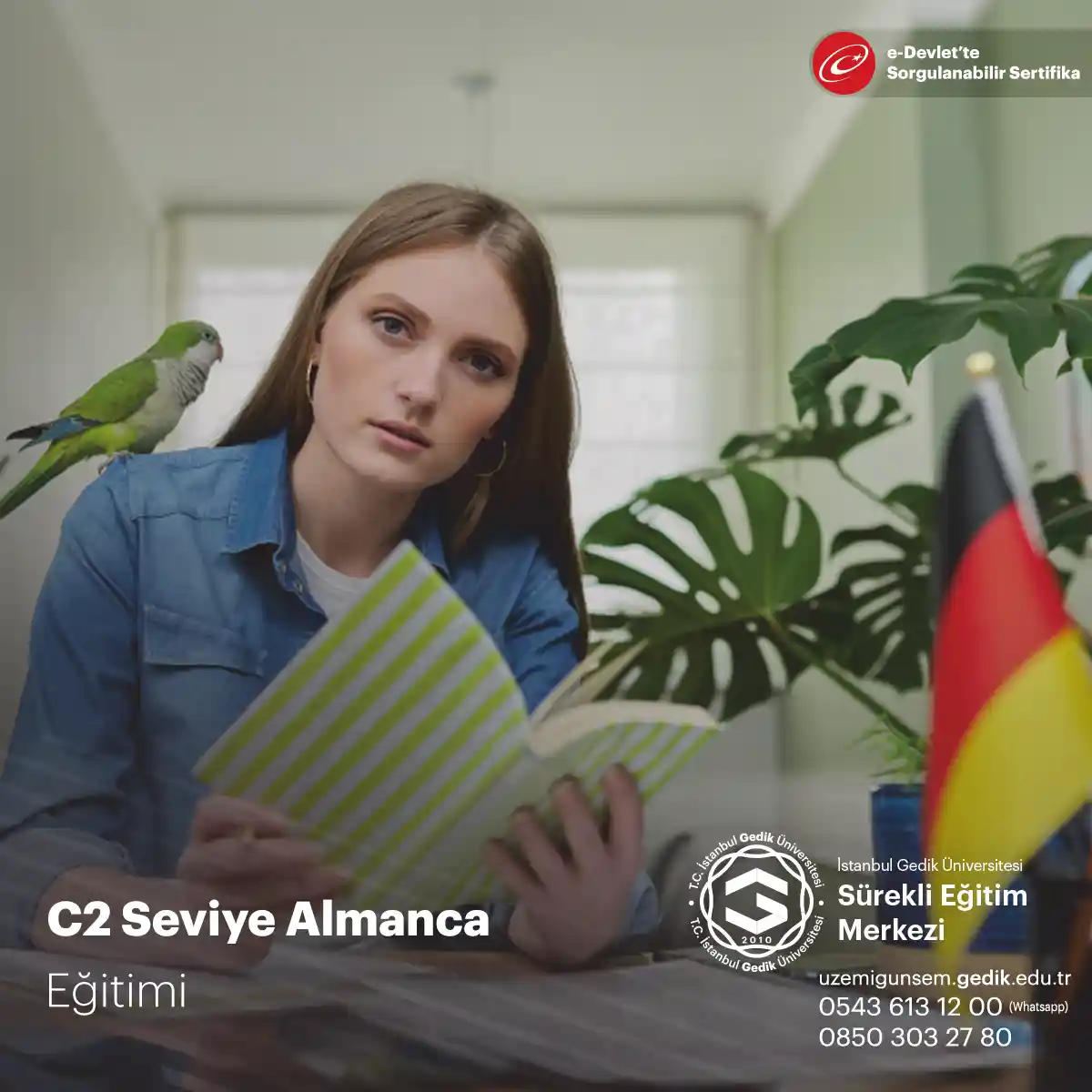 C2 Seviye Almanca Eğitimi