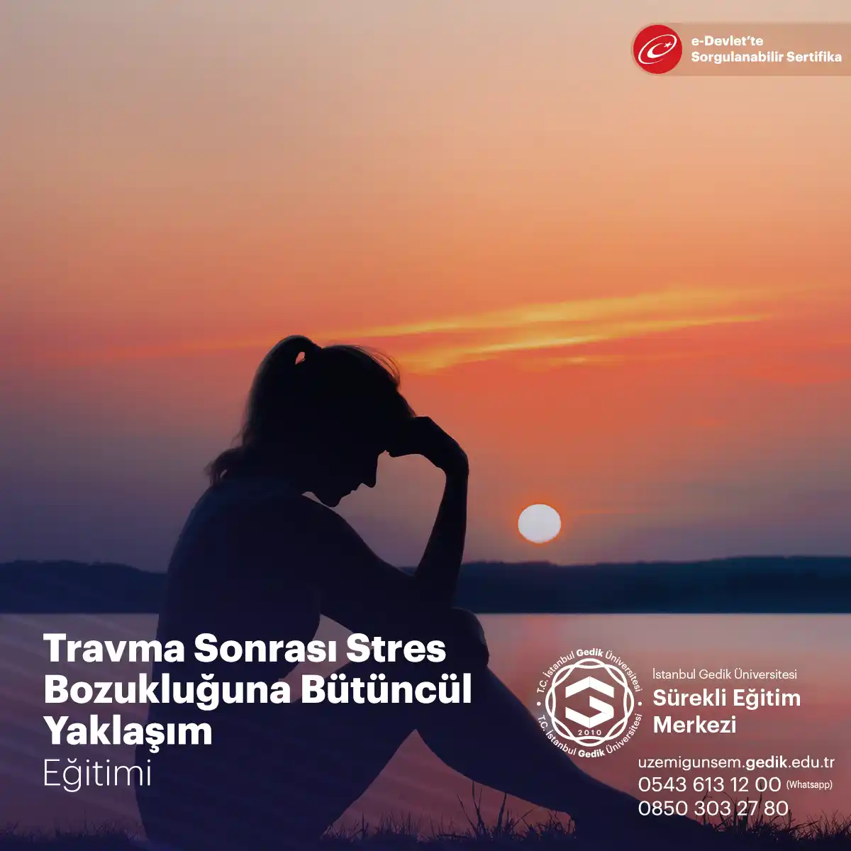 Travma Sonrası Stres Bozukluğuna Bütüncül Yaklaşım Sertifika Programı