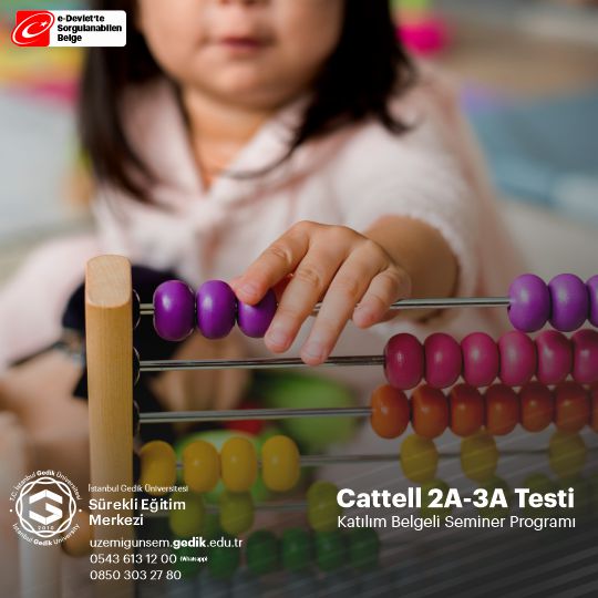 Cattell 2A-3A Testi